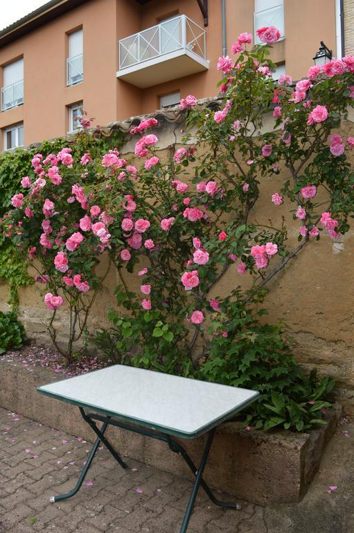 Cote Midi Chambre D'Hote Chaneins Eksteriør billede